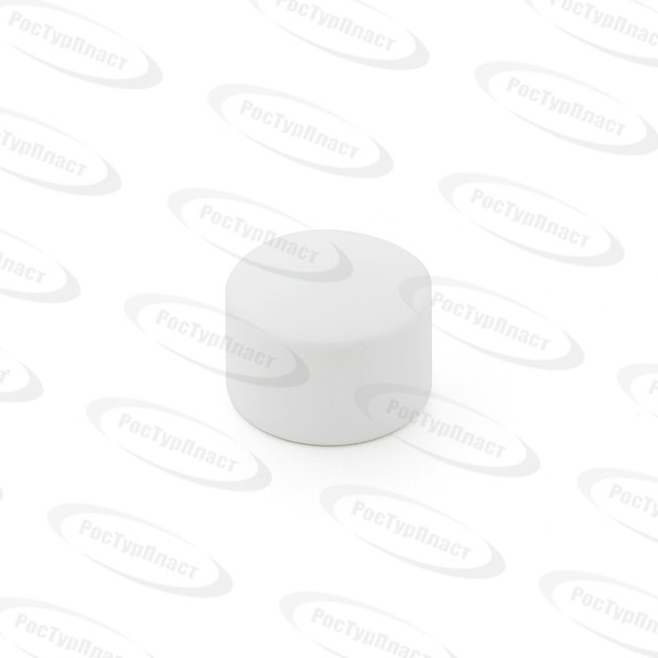 Заглушка PP-R 63 РосТурПласт