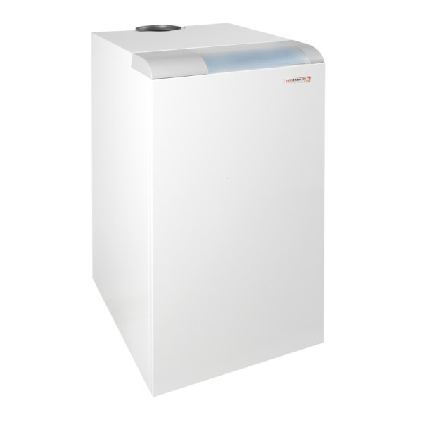 Газовый котёл PROTHERM Медведь 20 TLO